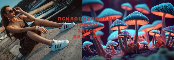 прущая мука Покровск