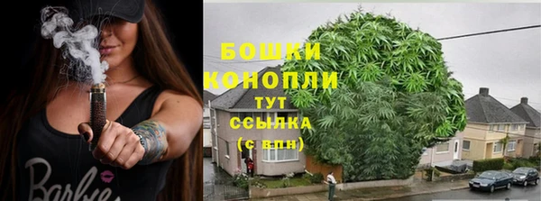 бошки Покачи