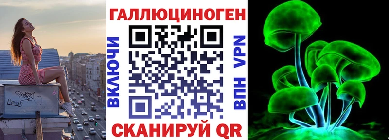 Псилоцибиновые грибы Cubensis omg Бронницы