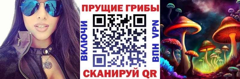 Галлюциногенные грибы Magic Shrooms Бронницы